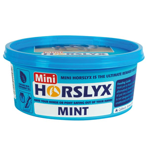 Horslyx Mini Licks - Mint - 650Gm