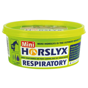 Horslyx Mini Licks - Respiratory - 650Gm