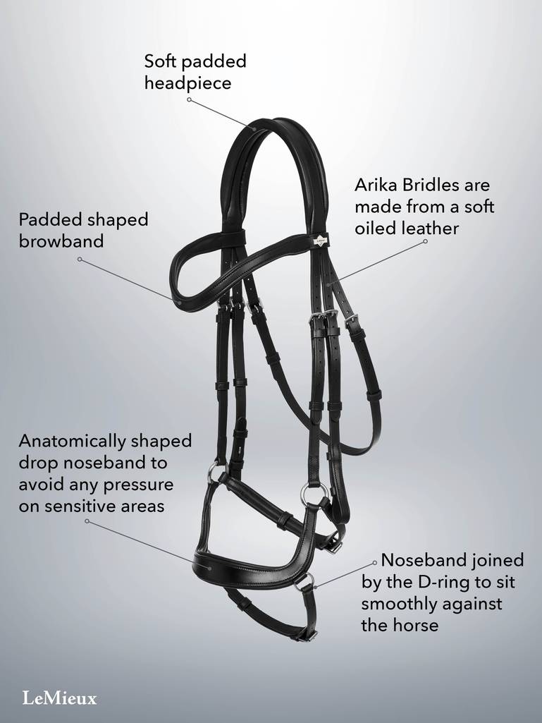 LeMieux Arika Drop Bridle - Black - Pony