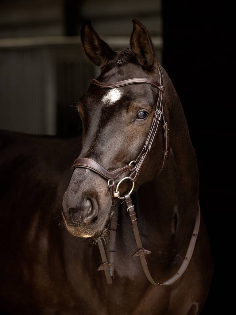 LeMieux Arika Drop Bridle - Brown - Pony