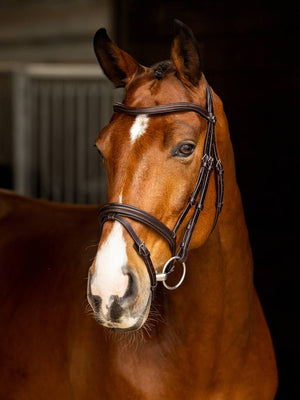 LeMieux Arika Flash Bridle - Brown - Pony