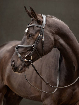 LeMieux Arika Grackle Bridle - Black - Pony