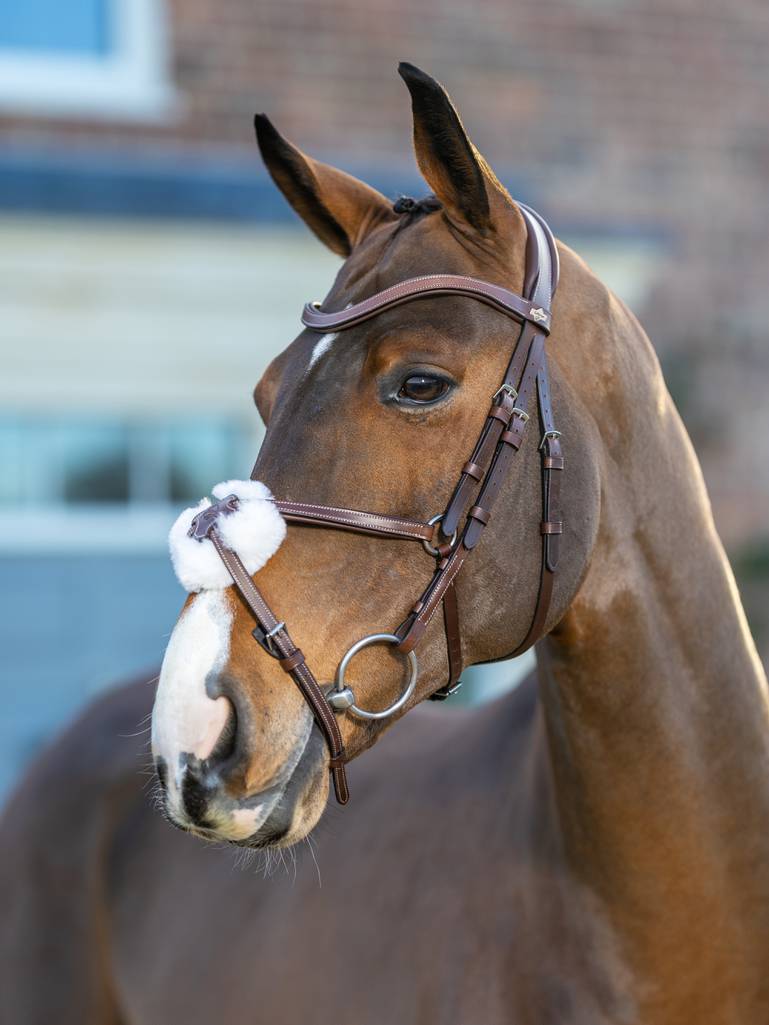 LeMieux Arika Grackle Bridle - Black - Pony