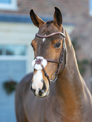 LeMieux Arika Grackle Bridle - Brown - Pony