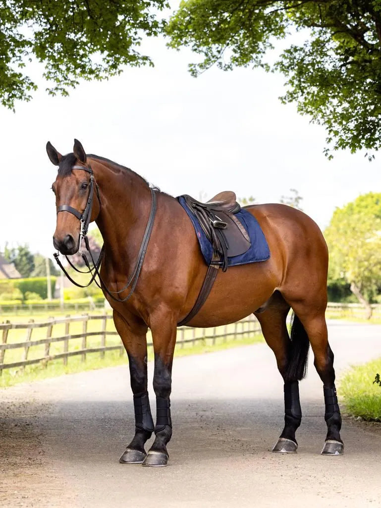 LeMieux Dressage Work Pad - Navy -