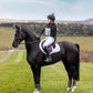 LeMieux Eventing Number Bib - Black -