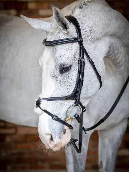 LeMieux Kudos Grackle Bridle - Black - Pony