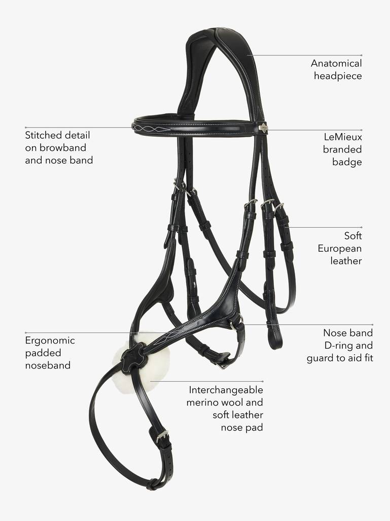 LeMieux Kudos Grackle Bridle - Black - Pony