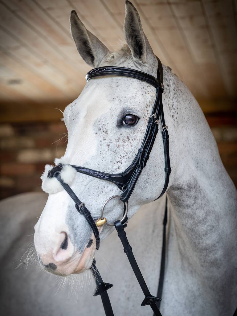 LeMieux Kudos Grackle Bridle - Black - Pony