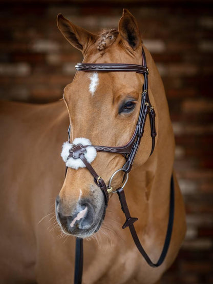 LeMieux Kudos Grackle Bridle - Black - Pony