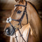 LeMieux Kudos Grackle Bridle - Havana - Pony