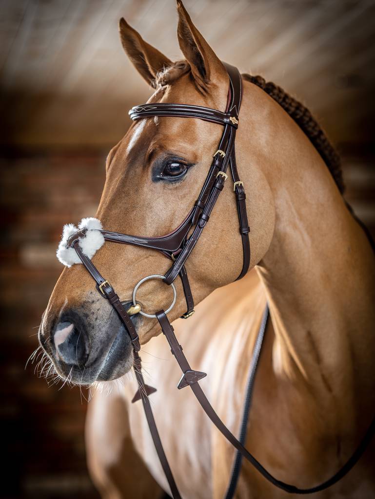 LeMieux Kudos Grackle Bridle - Havana - Pony