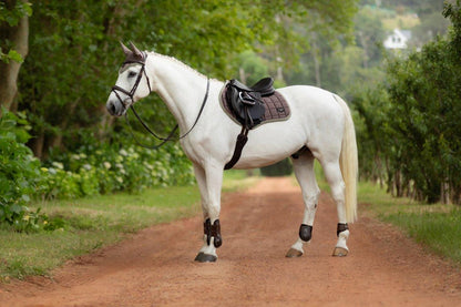 LeMieux SS24 Loire Classic Close Contact Square Saddle Pad - Jay Blue - Large