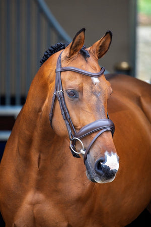 Lusso Dressage Flash Bridle - Black - Cob