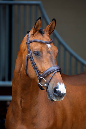 Lusso Dressage Flash Bridle - Black - Cob