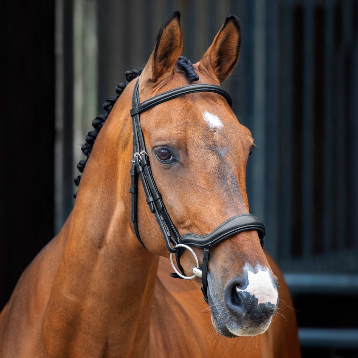 Lusso Ergonomic Flash Bridle - Black - Cob