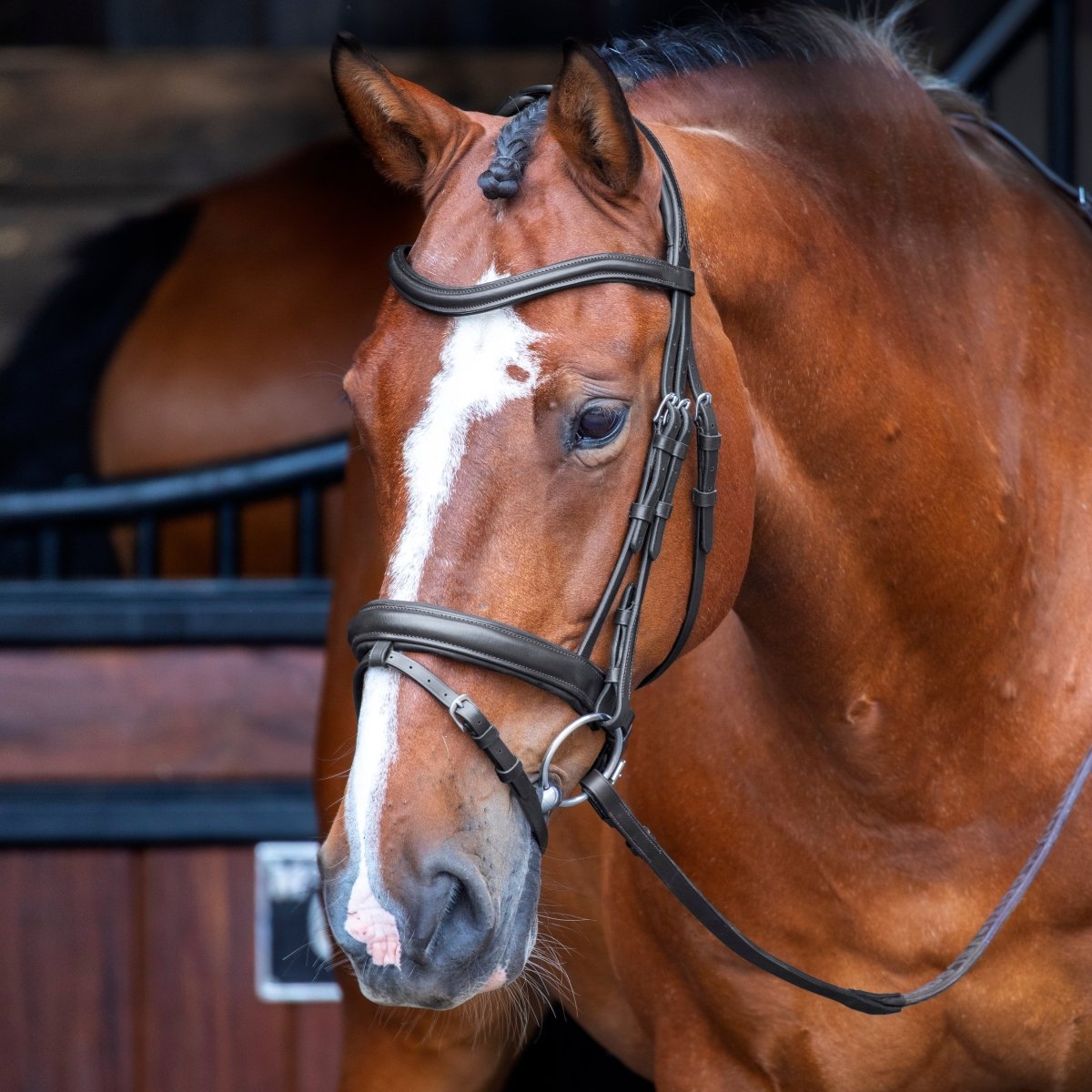 RAPIDA Dressage Bridle with Flash - Black - Cob