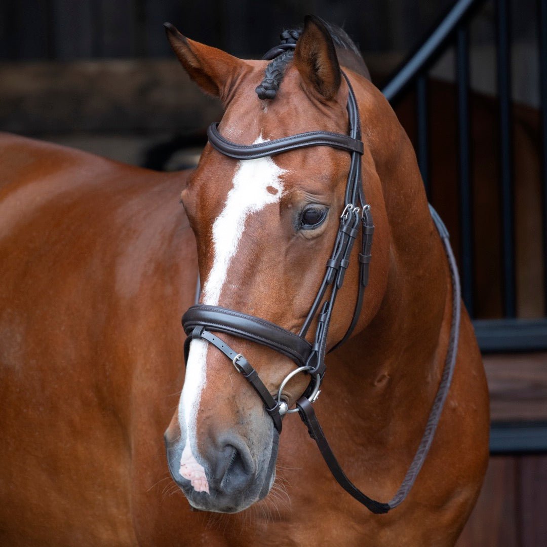 RAPIDA Dressage Bridle with Flash - Black - Cob