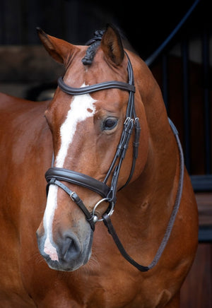 RAPIDA Dressage Bridle with Flash - Black - Cob