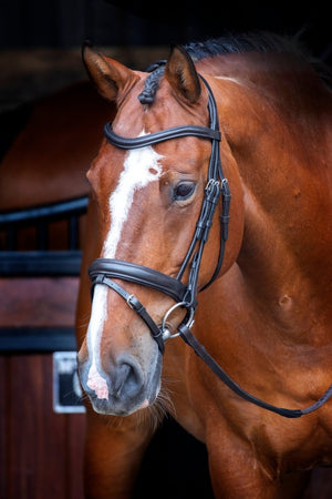 RAPIDA Dressage Bridle with Flash - Black - Cob