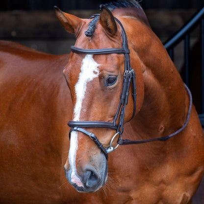 RAPIDA Padded Raised Flash Bridle - Black - Cob