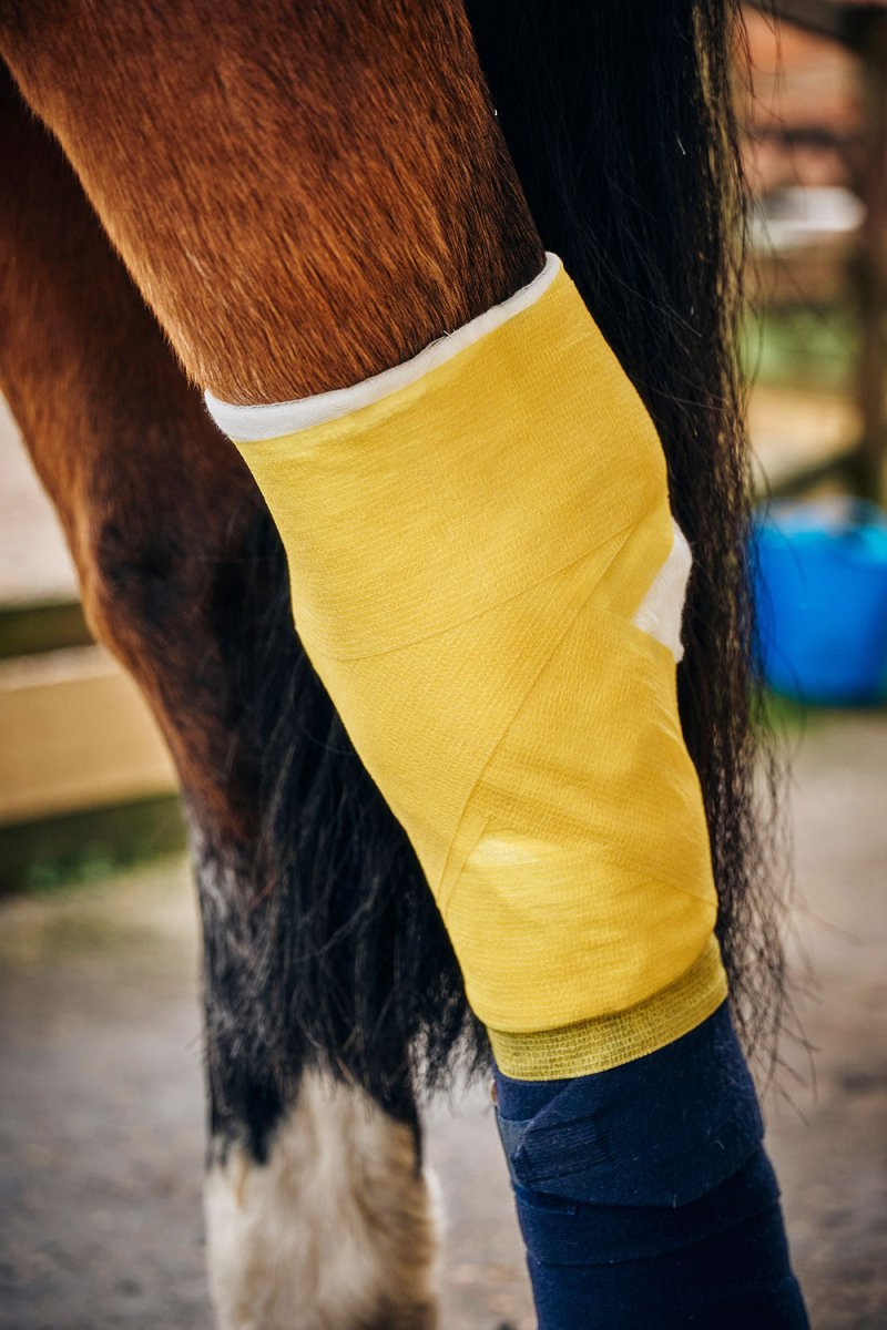 Robinsons Healthcare Equiwrap Bandage - Yellow - 10CmX4.5M