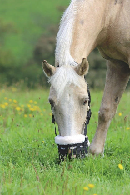 Shires Comfort Grazing Muzzle - Black - Cob