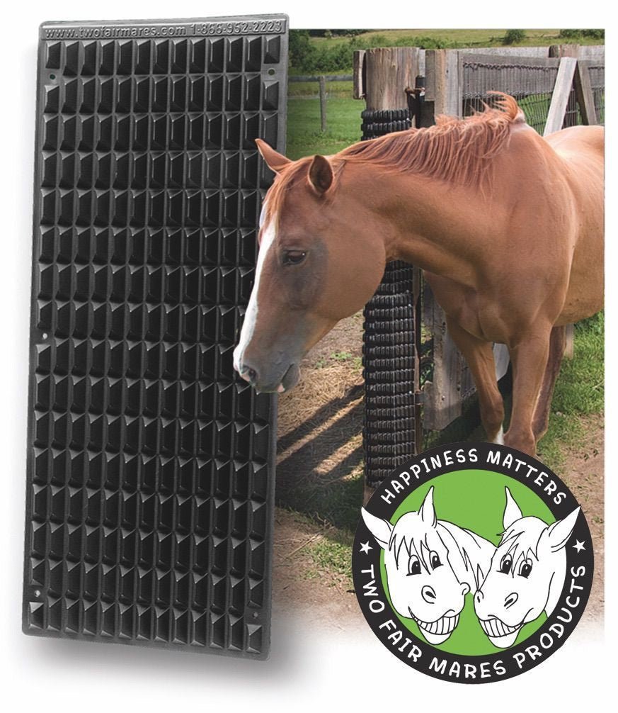 Shires Equine Scratcher - Black -