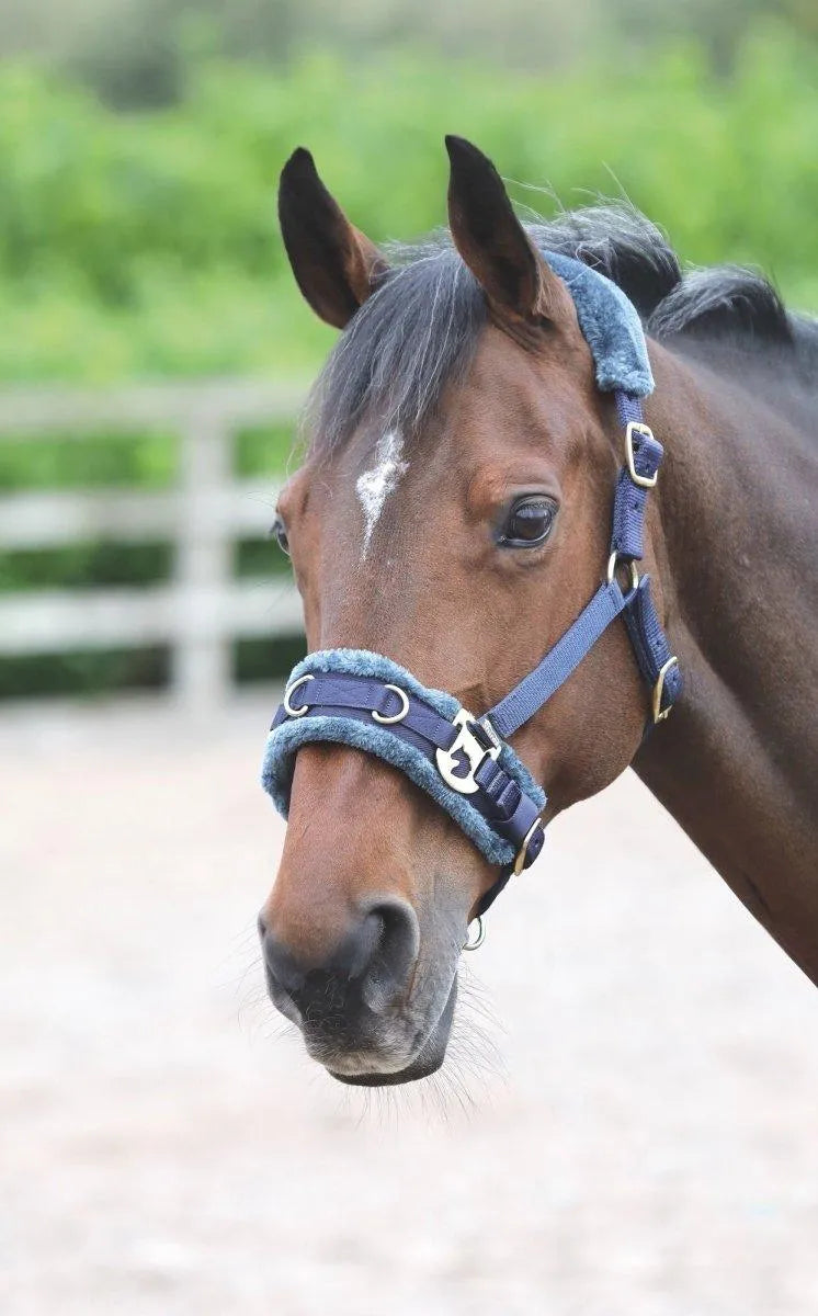 Shires Fleece Lined Lunge Cavesson - Navy - Cob