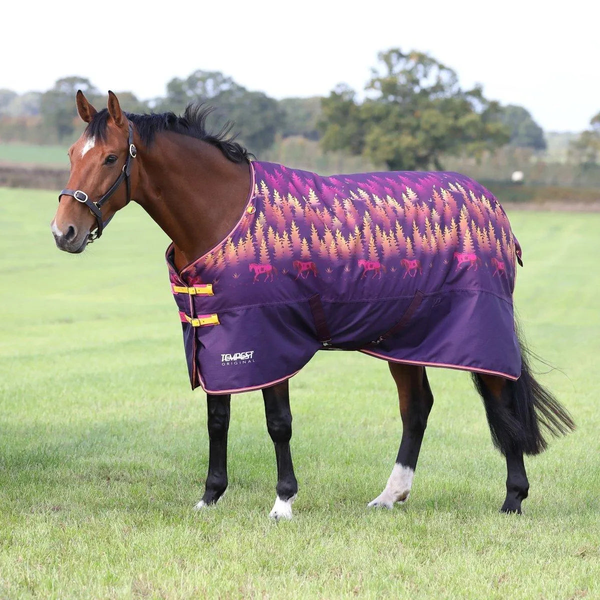 Tempest Original 200 Turnout Rug - Maroon - 4'0"