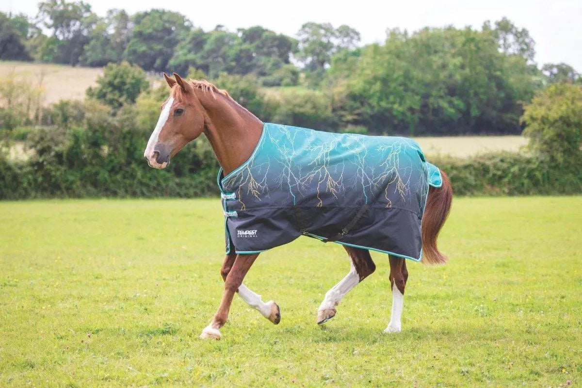 Tempest Original 200 Turnout Rug - Maroon - 4'0"