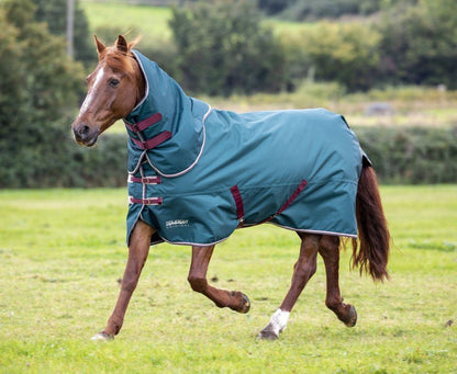 Tempest Original 200 Turnout Rug & Neck - Green - 4'0"