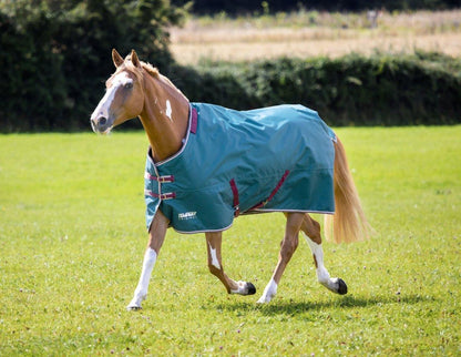 Tempest Original 200 Turnout Rug & Neck - Green - 4'0"