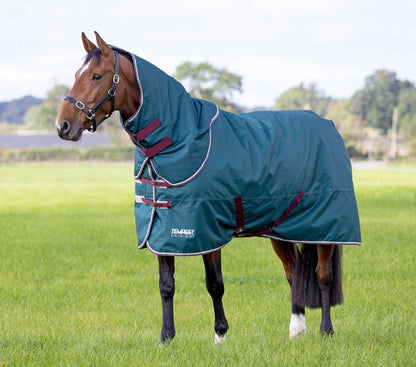 Tempest Original 200 Turnout Rug & Neck - Green - 4'0"