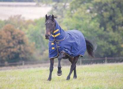 Tempest Original 300 Turnout Combo Rug - Black - 4'0"