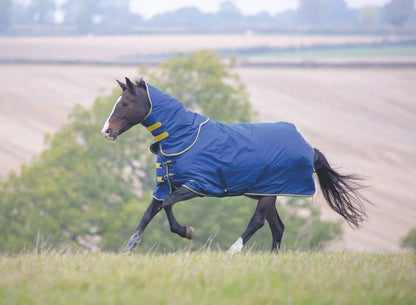 Tempest Original 300 Turnout Rug & Neck - Black - 4'0"