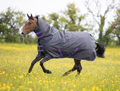 Tempest Original 300 Turnout Rug & Neck - Black - 4'0"