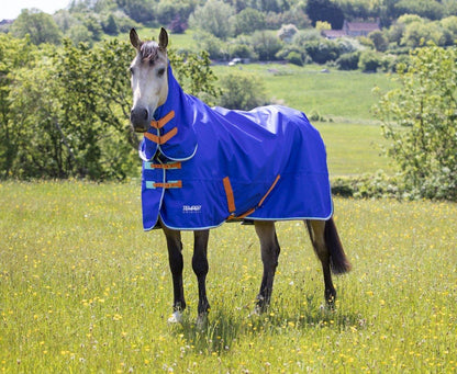 Tempest Original 50 Combo Turnout Rug - Royal - 4'0"