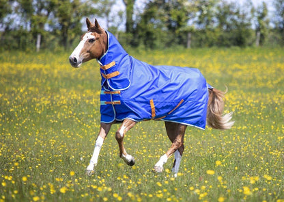 Tempest Original 50 Combo Turnout Rug - Royal - 4'0"