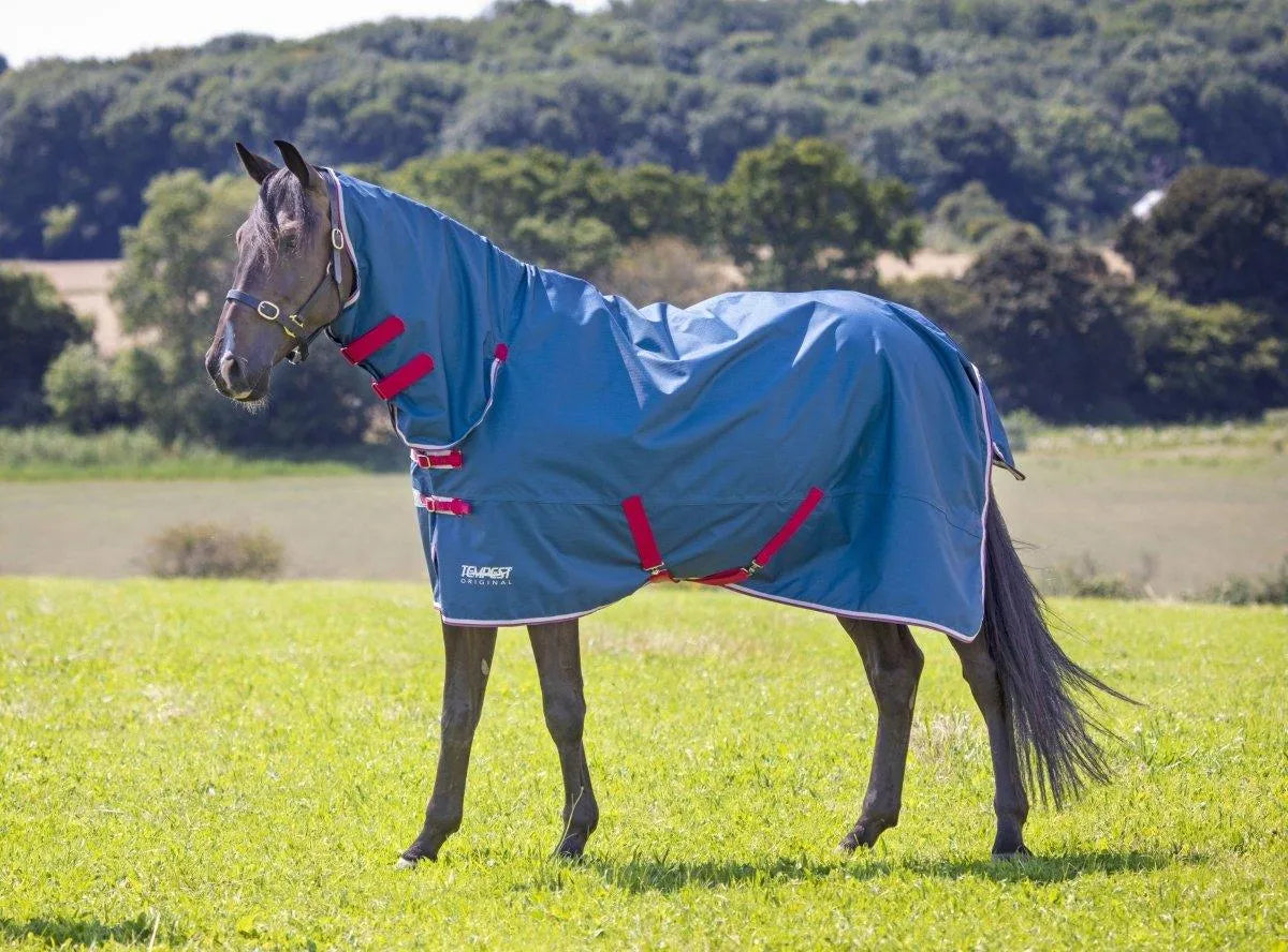 Tempest Original Lite Turnout Combo Rug - Teal - 4'0"