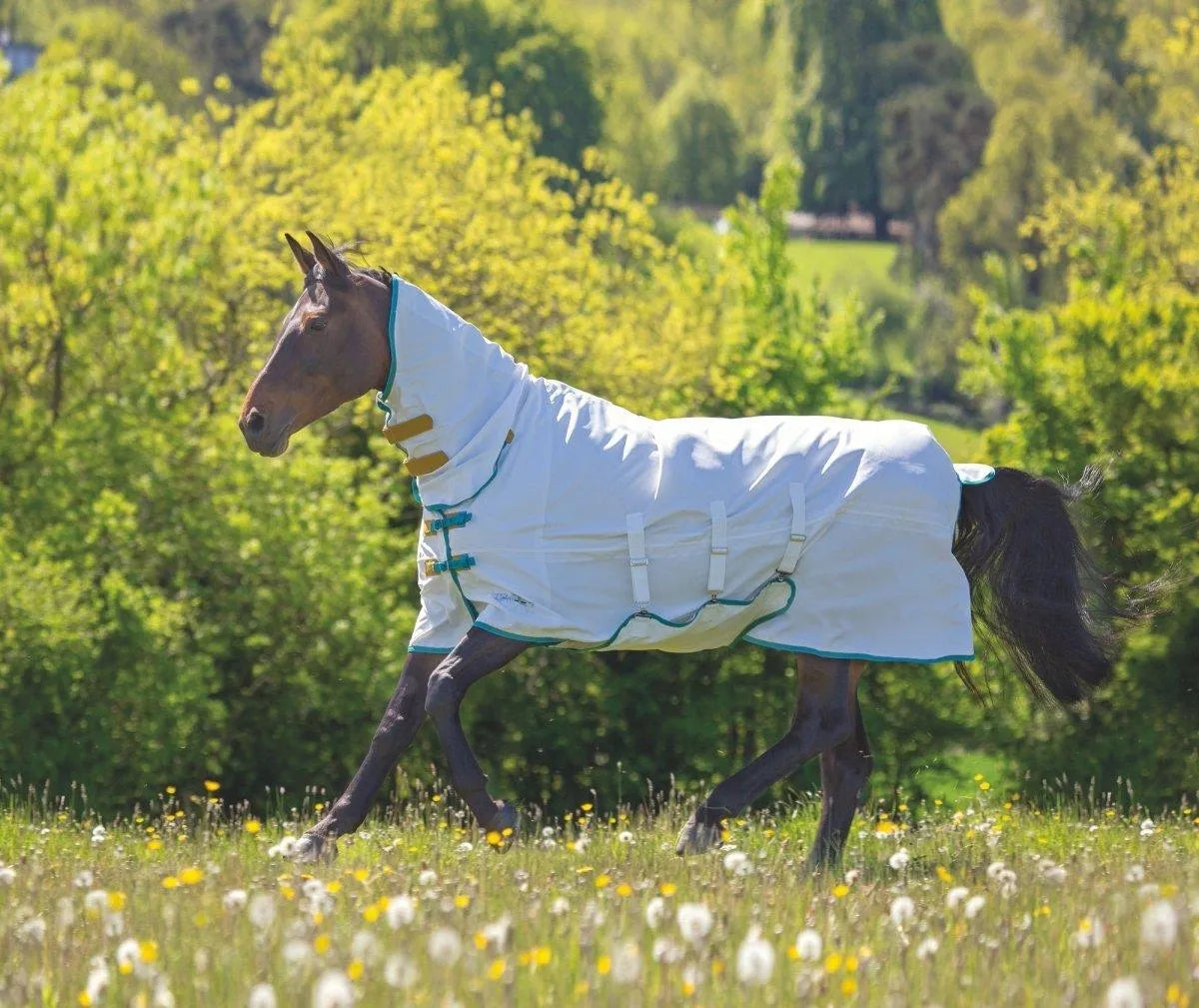 Tempest Plus Sweet-itch Combo Rug - White - 5'0"