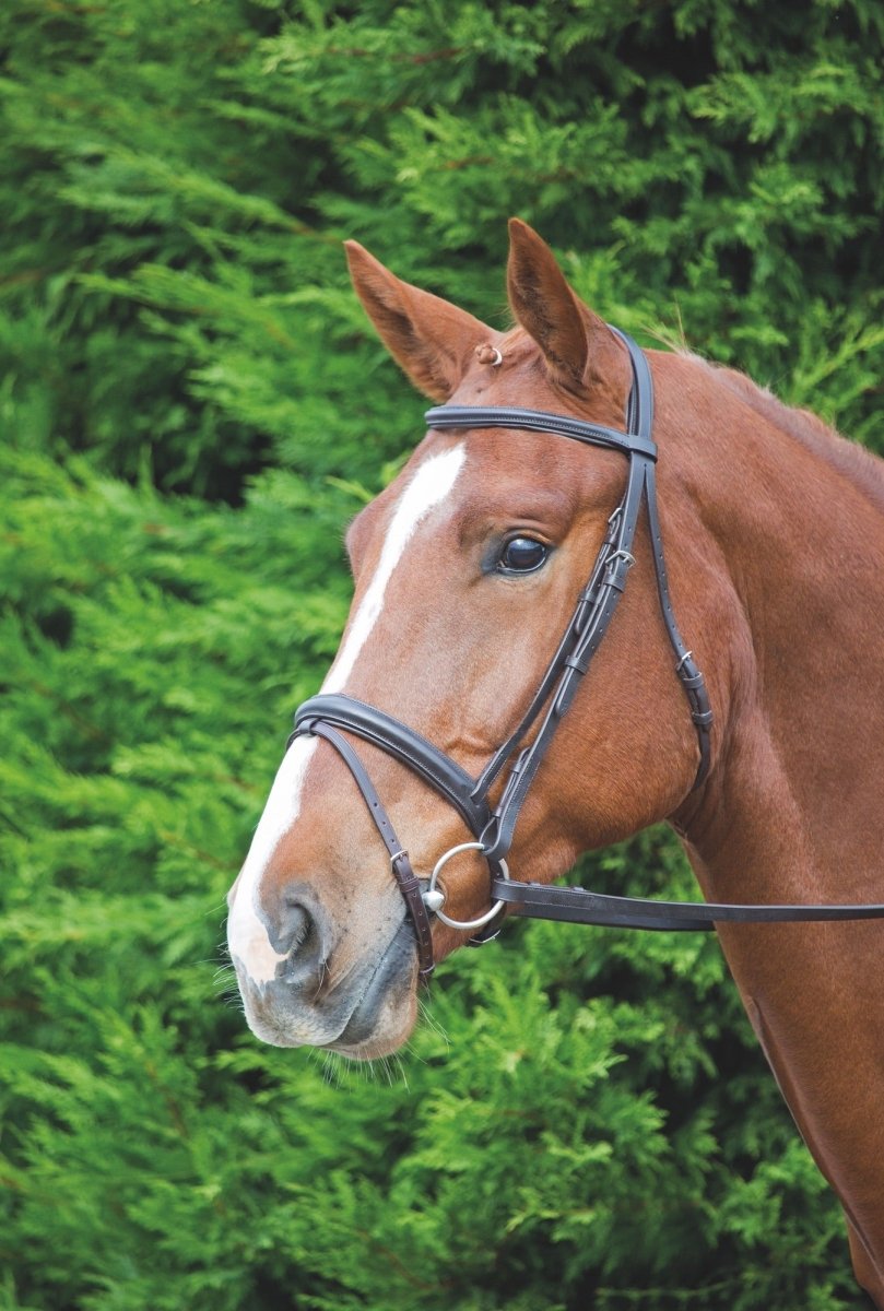 Velociti GARA Comfort Fit Bridle - Black - Cob