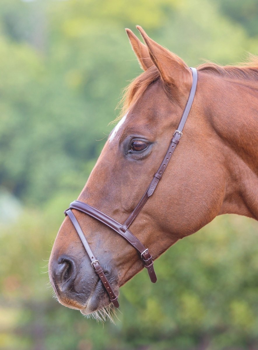 Velociti GARA Flash Noseband - Black - Cob