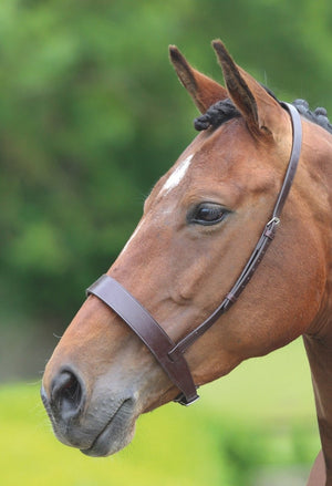 Velociti GARA Hunter Cavesson Noseband - Black - Cob