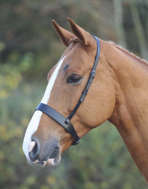 Velociti GARA Hunter Cavesson Noseband - Black - Cob