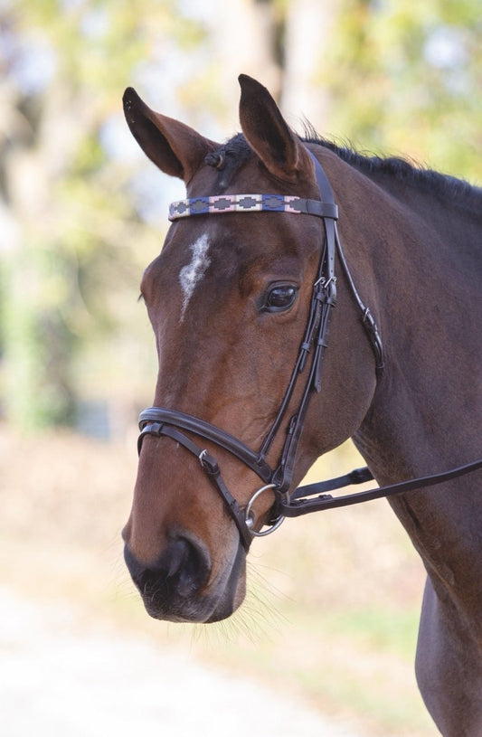 Velociti GARA Leather Polo Browband - Purple/Dark Green/Yellow - Cob