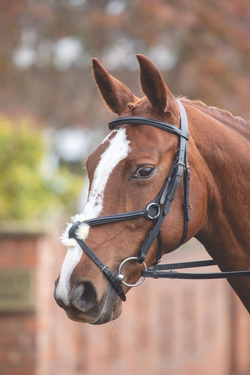 Velociti GARA Mexican Bridle - Black - Cob