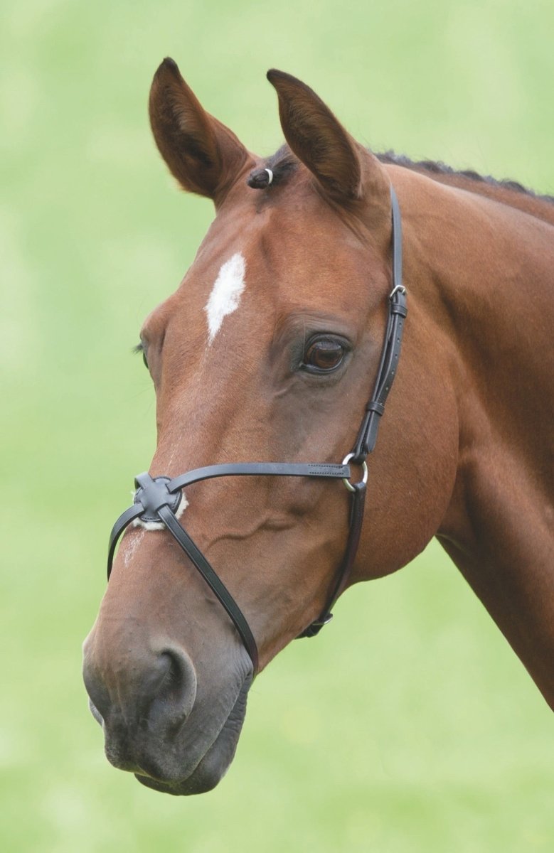 Velociti GARA Mexican Noseband - Black - Cob