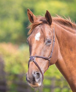 Velociti GARA Mexican Noseband - Black - Cob