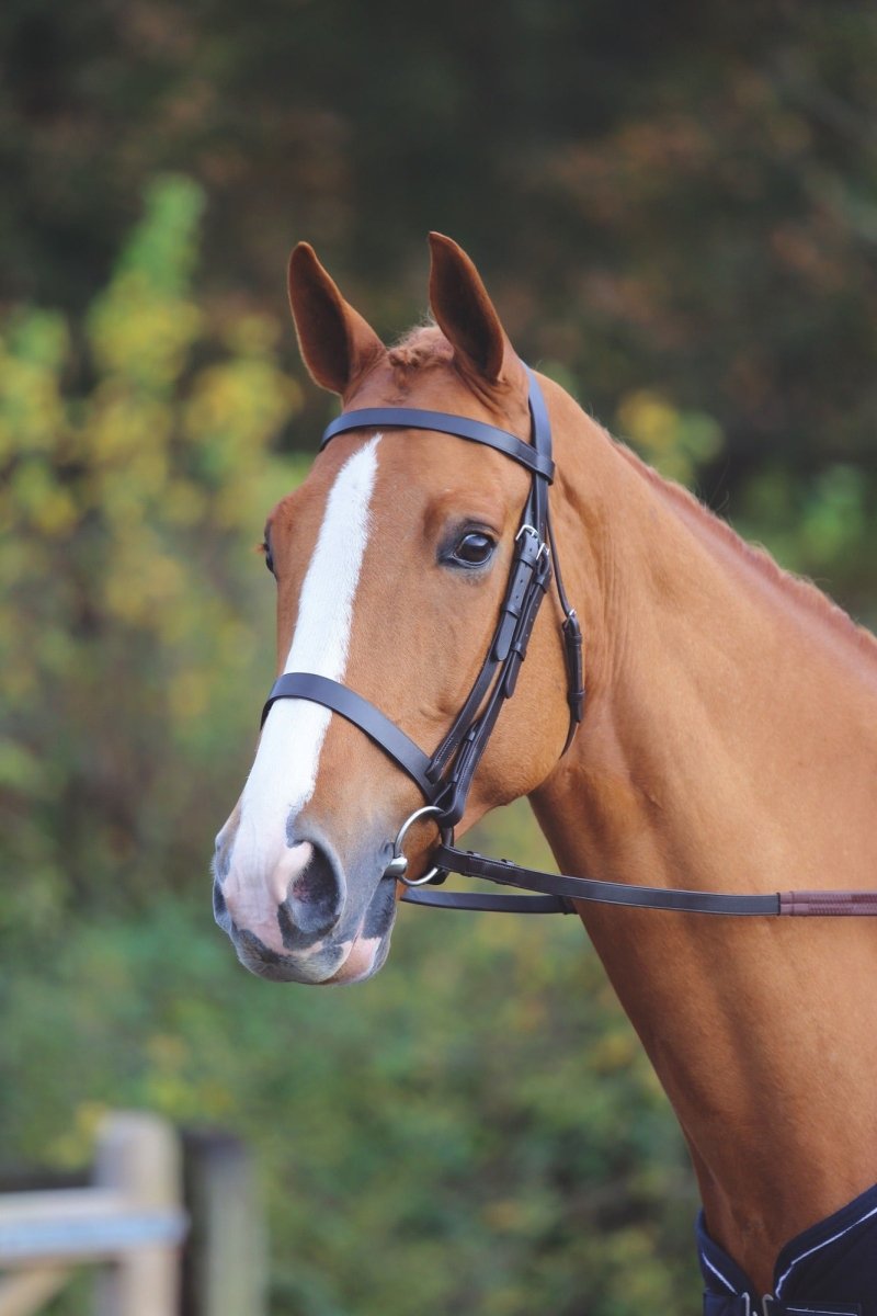 Velociti GARA Plain Bridle - Black - Cob